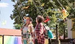 THE SWINGS